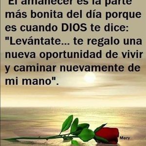 Meet your Posher, Violeta